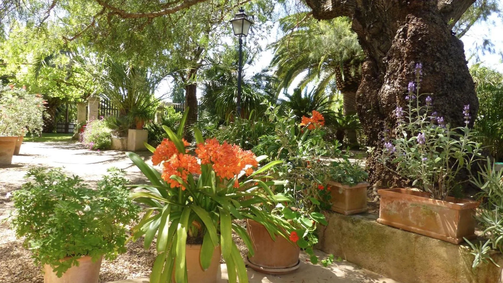 Finca Raims Algaida  4*, Algaida (Mallorca)
