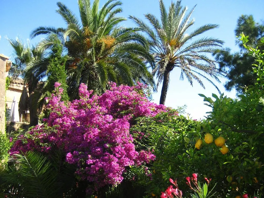 לינה וארוחת בוקר אלגידה Finca Raims